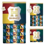 212282 large astuccio hogwarts harry potter